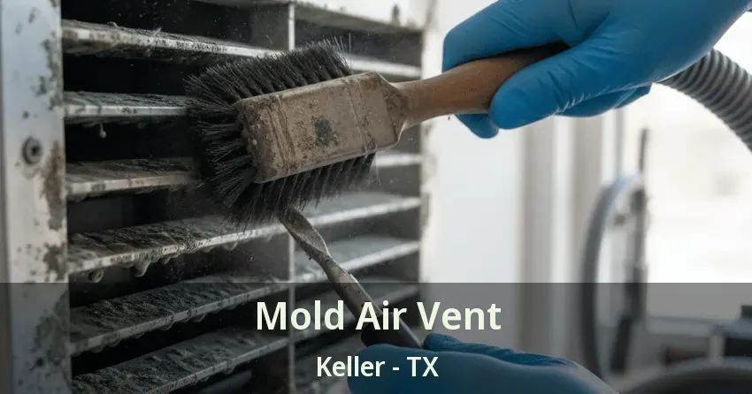 Mold Air Vent Keller - TX