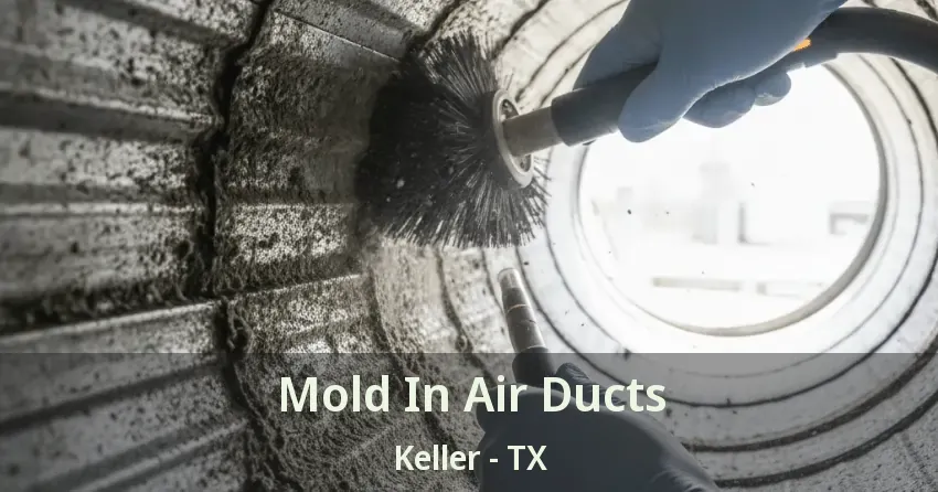 Mold In Air Ducts Keller - TX