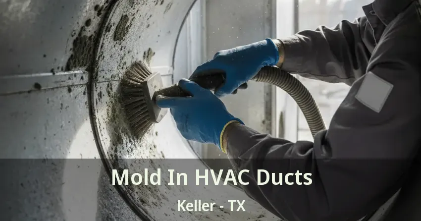 Mold In HVAC Ducts Keller - TX
