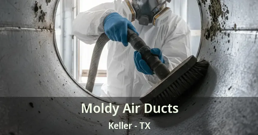 Moldy Air Ducts Keller - TX